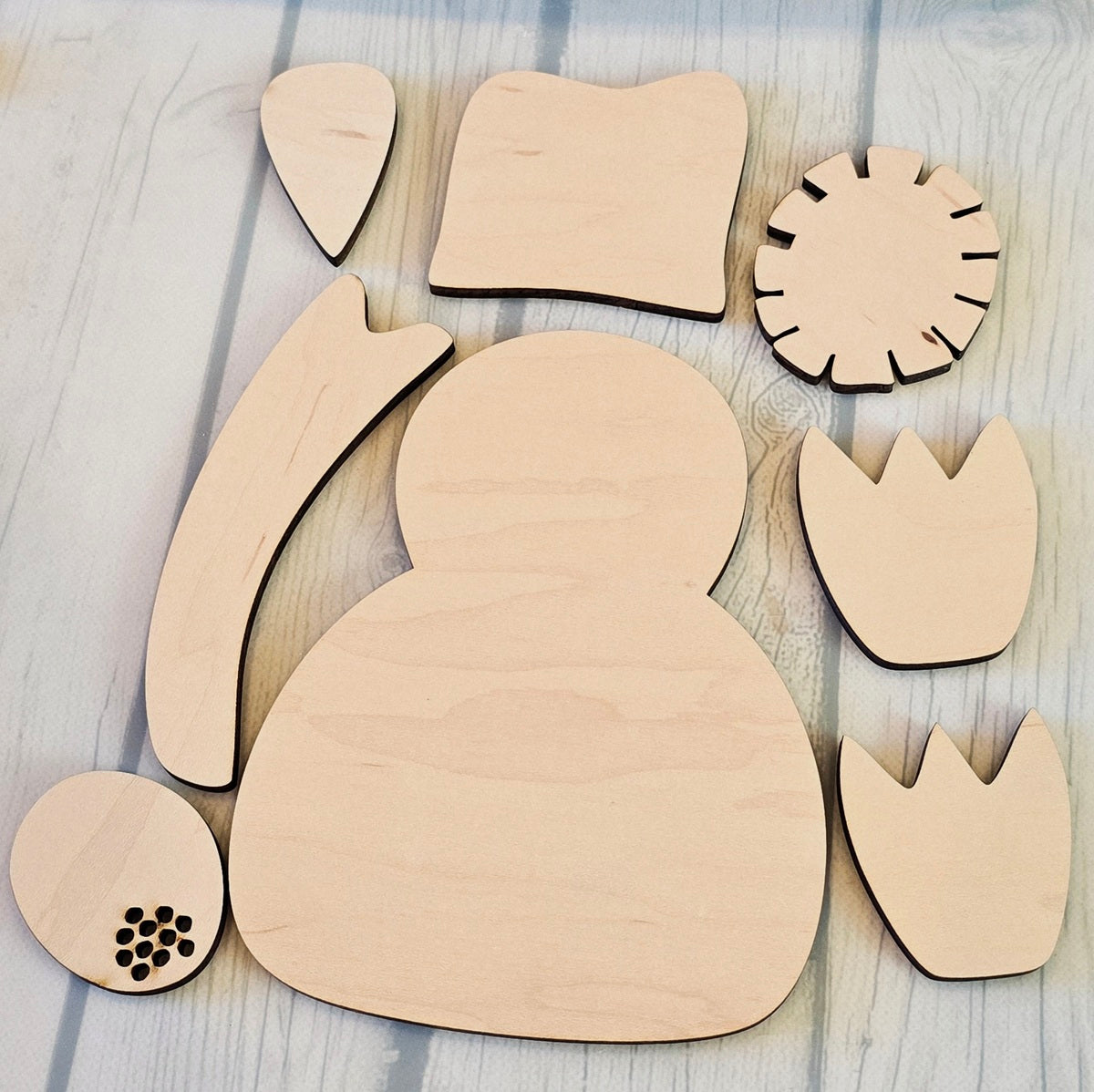 Mister Crow DIY Kit