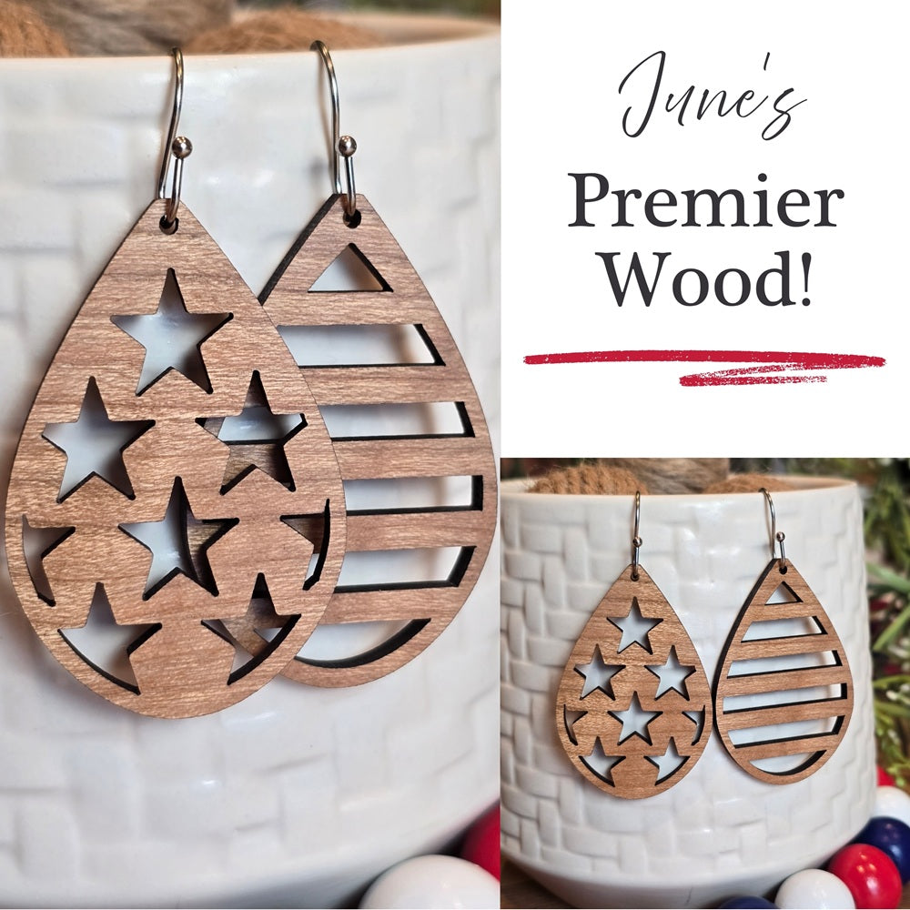 Stars and Stripes - June Earring Edit